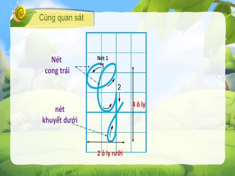Bài giảng Tiếng Việt 3 - Tiết 145: Ôn chữ viết hoa P, Q. Đọc: Cây gạo (Tiết 2)