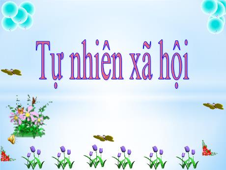 Bài giảng TNXH 1 - Bài 4: An toàn khi sử dụng đồ dùng ở nhà (Tiết 1+2)(Lô Thị Sao Mai)