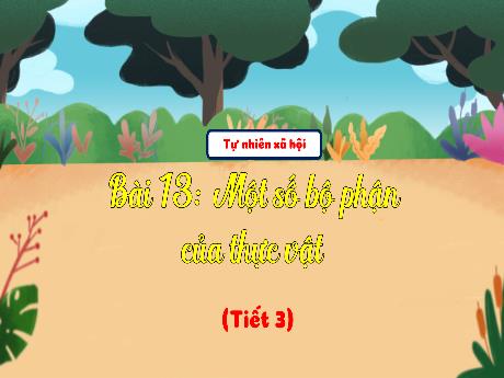 Bài giảng TNXH 3 - Bài 13: Một số bộ phận của thực vật (Tiết 3)