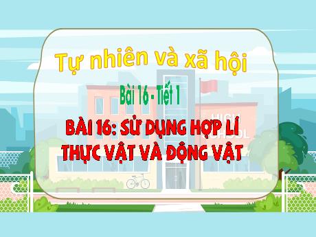 Bài giảng TNXH 3 - Bài 16: Sử dụng hợp lí thực vật và động vật (Tiết 1)