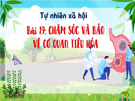 Bài giảng TNXH 3 - Bài 19: Chăm sóc và bảo vệ cơ quan tiêu hóa (Tiết 1)