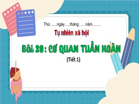 Bài giảng TNXH 3 - Bài 20: Cơ quan tuần hoàn (Tiết 1)